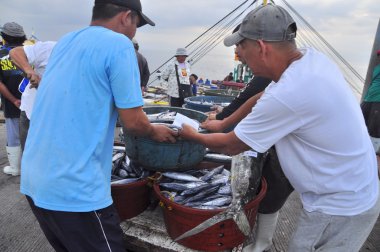 General Santos, Filipinler - 5 Eylül 2015: Balıkçı açılış ton balığı balıkçı teknesi seaport adlı üzerinden