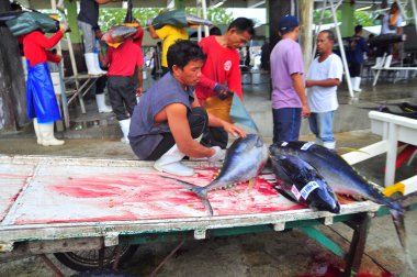 General Santos, Filipinler - 5 Eylül 2015: Tuna seaport adlı deniz ürünleri pazarında satışa sunulan