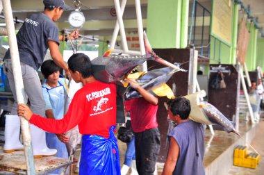 General Santos, Filipinler - 5 Eylül 2015: Balıkçılar pazara satmak için ton balığı ağırlığında
