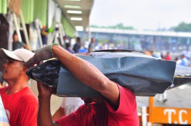 General Santos, Filipinler - 5 Eylül 2015: Balıkçılar pazara satmak için ton balığı ağırlığında