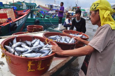 General Santos, Filipinler - 5 Eylül 2015: Balıkçılar ton balığı balıkçı tekneleri pazara iniş vardır