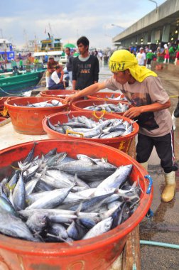 General Santos, Philippines - September 5, 2015: Fishermen are landing tuna from fishing boats to the market clipart