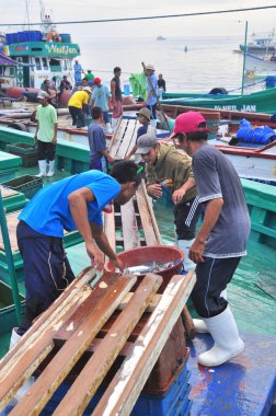 General Santos, Filipinler - 5 Eylül 2015: İşçi yükleme a rıhtım, balıklar