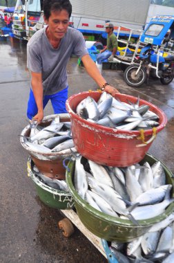 General Santos, Filipinler - 5 Eylül 2015: İşçi liman deniz ürünleri pazarında çalışıyorsanız