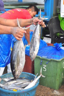 General Santos, Filipinler - 5 Eylül 2015: İşçi liman deniz ürünleri pazarında çalışıyorsanız