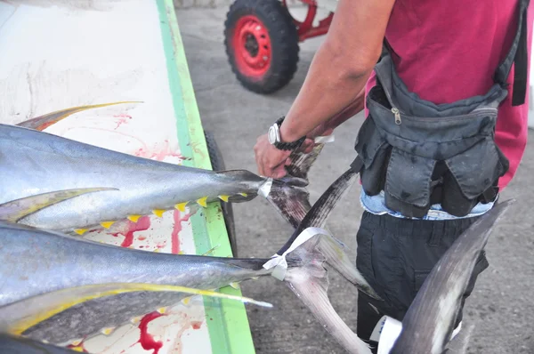 General Santos, Filipinas - 5 de setembro de 2015: Um pescador está marcando seu atum no porto — Fotografia de Stock