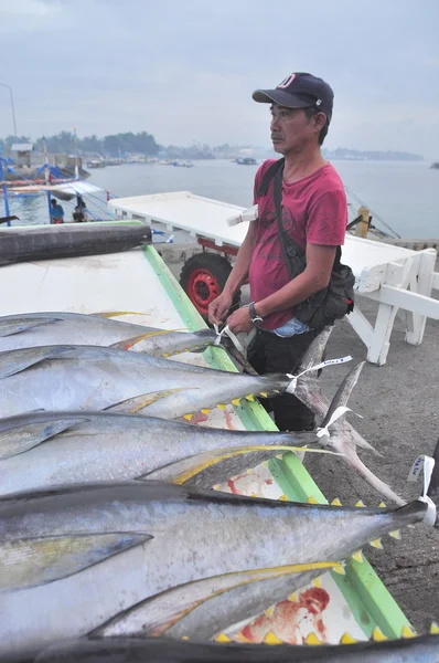 General Santos, Philippines - September 5, 2015: A fisherman is  marking his tuna at the seaport — Stock Photo, Image