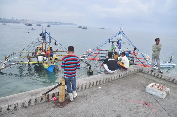 General Santos, Filipiny - 5 września 2015: Bagażowi są załadunku tuńczyka z łodzi w porcie morskim — Zdjęcie stockowe