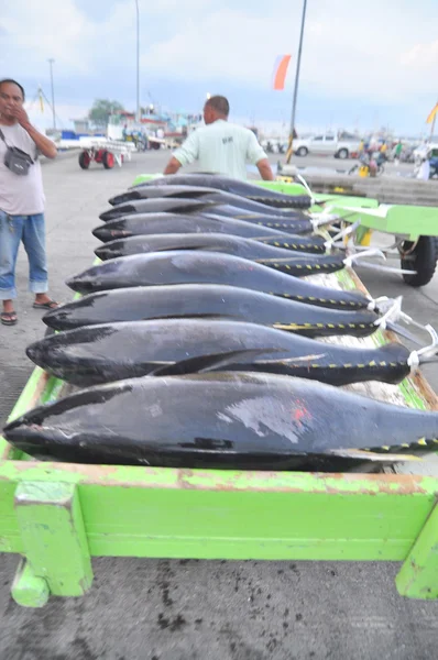 General Santos, Filipinas - 5 de septiembre de 2015: Porteros están cargando atún en camión a la fábrica de mariscos en la ciudad de General Santos — Foto de Stock