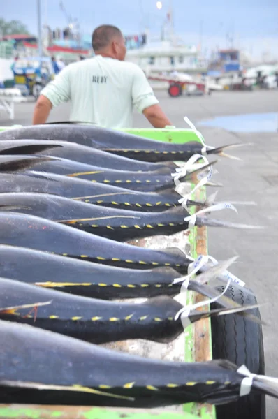 General Santos, Filipiny - 5 września 2015: Bagażowi są ładowania tuńczyka na samochód ciężarowy do fabryki owoców morza w General Santos city — Zdjęcie stockowe