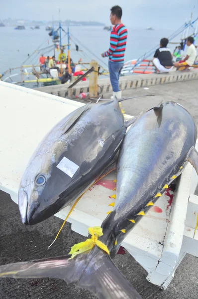 General Santos, Filipinas - 5 de septiembre de 2015: Se desembarca atún en camión en el puerto marítimo — Foto de Stock