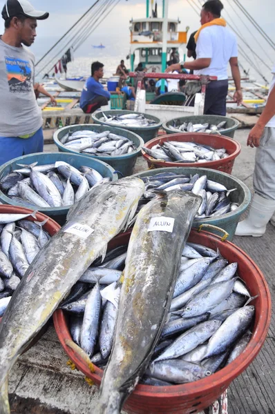 General Santos, Filippinerna - September 5, 2015: Fiskare landar tonfisk från fiskebåt i hamnen — Stockfoto