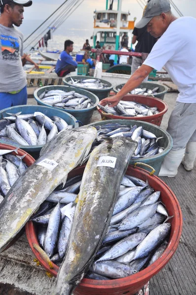 General Santos, Filippinerna - September 5, 2015: Fiskare landar tonfisk från fiskebåt i hamnen — Stockfoto