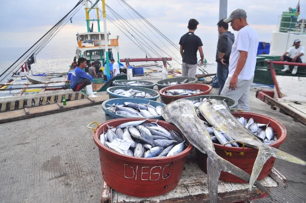 General Santos, Philippinen - 5. September 2015: Fischer landen Thunfisch von Fischerboot im Hafen — Stockfoto