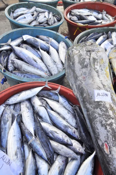 General Santos, Philippinen - 5. September 2015: Im Seehafen werden Fische angelandet — Stockfoto