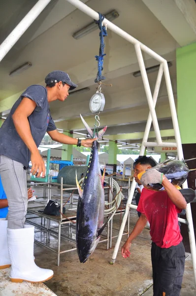 General Santos, Philippines - September 5, 2015: Fisherman is weighing tuna to sell to the market — Stock Photo, Image