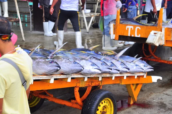 General Santos, Philippinen - 5. September 2015: Thunfisch wird auf dem Fischmarkt verkauft — Stockfoto