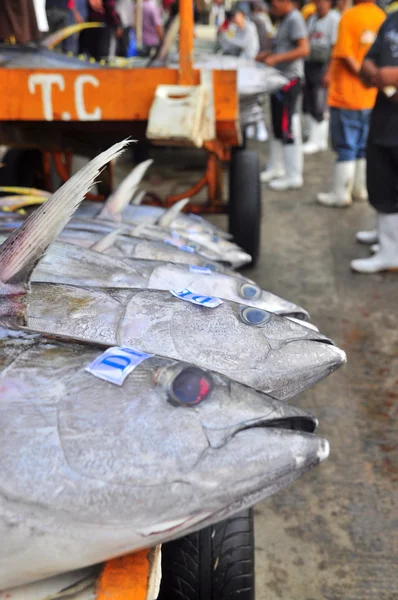 General Santos, Philippines - September 5, 2015: Tuna are being sold at the seafood market at the seaport — Stock Photo, Image