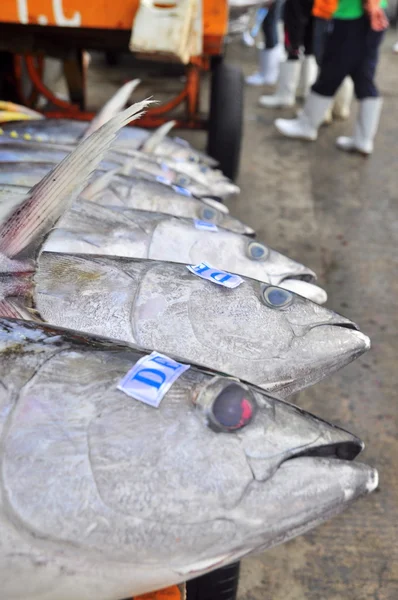 General Santos, Philippines - September 5, 2015: Tuna are being sold at the seafood market at the seaport — Stock Photo, Image