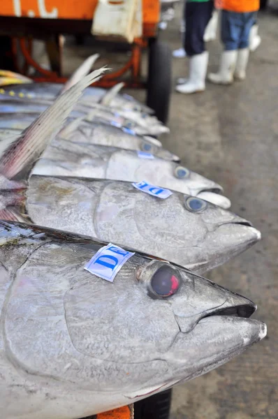 General Santos, Philippines - September 5, 2015: Tuna are being sold at the seafood market at the seaport — Stock Photo, Image