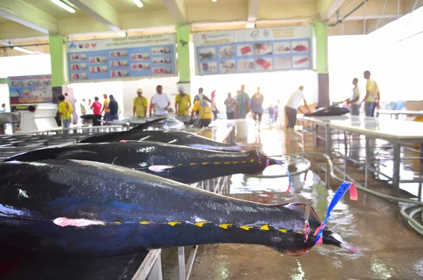 Генерал Сантос, Филиппины - 5 сентября 2015 г.: Тунец продается на рынке морепродуктов в морском порту — стоковое фото