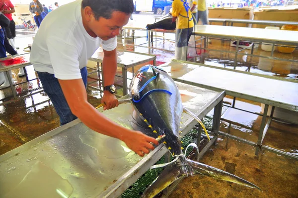 General Santos, Filipinas - 5 de setembro de 2015: Compradores estão verificando a qualidade do atum no porto — Fotografia de Stock