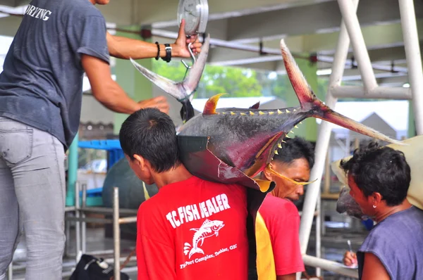 General Santos, Philippinen - 5. September 2015: Fischer wiegen Thunfisch, um ihn auf den Markt zu bringen — Stockfoto