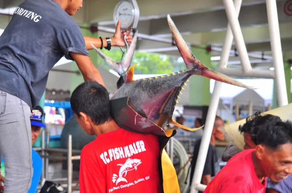 General Santos, Philippines - September 5, 2015: Fishermen are weighing tuna to sell to the market — Stock Photo, Image