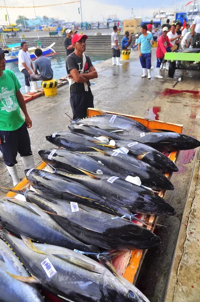 General Santos, Philippinen - 5. September 2015: Thunfisch wird auf dem Fischmarkt im Hafen verkauft — Stockfoto