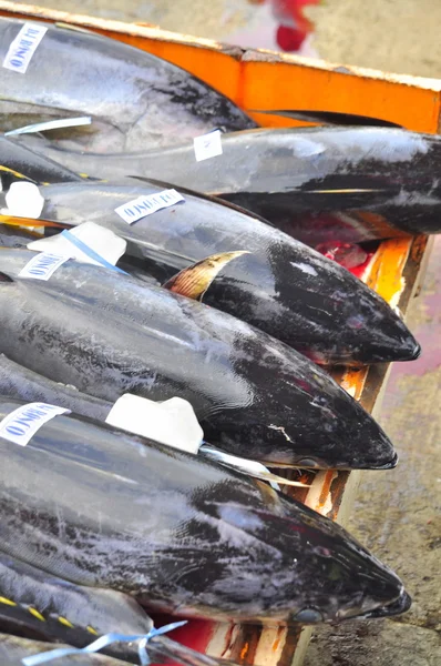 桑托斯将军城，菲律宾-2015 年 9 月 5 日︰ 金枪鱼正被出售海港海鲜市场 — 图库照片