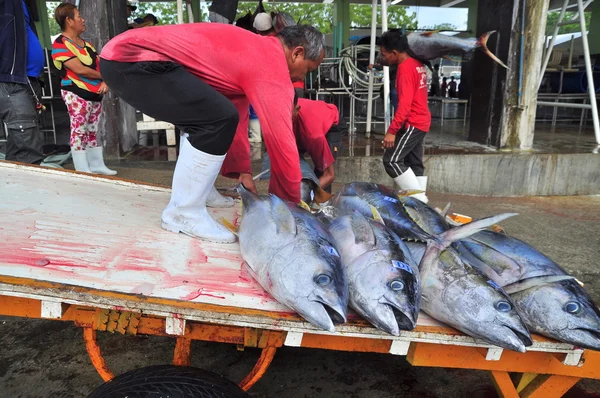 General Santos, Philippines - September 5, 2015: Tuna are being sold at the seafood market at the seaport — Stock Photo, Image