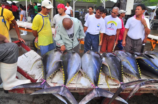 General Santos, Filippinerna - September 5, 2015: Fiskare säljer sin tonfisk på skaldjur marknaden — Stockfoto