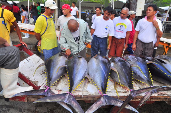 General Santos, Philippines - September 5, 2015: Fishermen are selling their tuna at the seafood market