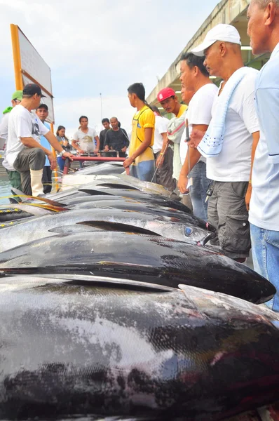 General Santos, Filipinas - 5 de setembro de 2015: Pescadores estão vendendo seu atum no mercado de frutos do mar — Fotografia de Stock