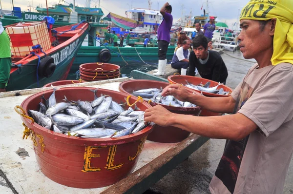 General Santos, Filipinas - 5 de septiembre de 2015: Los pescadores están desembarcando atún de los barcos de pesca al mercado —  Fotos de Stock