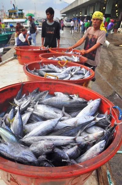 General Santos, Filipinas - 5 de septiembre de 2015: Los pescadores están desembarcando atún de los barcos de pesca al mercado —  Fotos de Stock