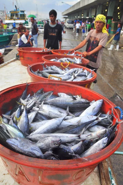 General Santos, Philippinen - 5. September 2015: Fischer bringen Thunfisch von Fischerbooten auf den Markt — Stockfoto