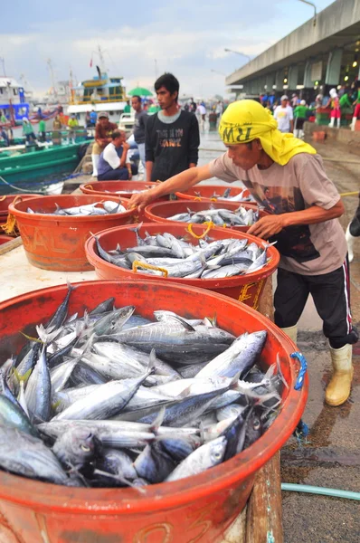 Генерал Сантос, Филиппины - 5 сентября 2015 г.: Рыбаки высаживают тунца с рыболовных судов на рынок — стоковое фото