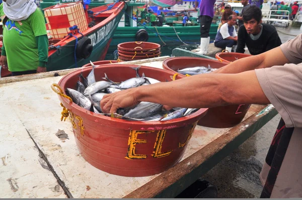 Генерал Сантос, Филиппины - 5 сентября 2015 г.: Тунец продается на рынке морепродуктов в морском порту — стоковое фото