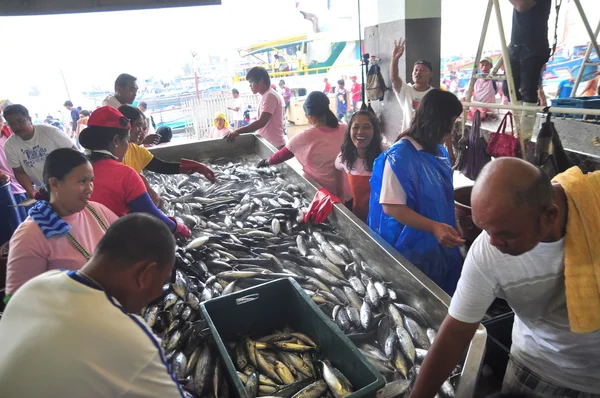 General Santos, Filipinas - 5 de septiembre de 2015: Los pescadores están seleccionando atún en el puerto — Foto de Stock