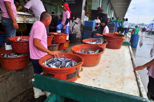 General Santos, Filipinas - 5 de septiembre de 2015: Los pescadores están seleccionando atún en el puerto —  Fotos de Stock