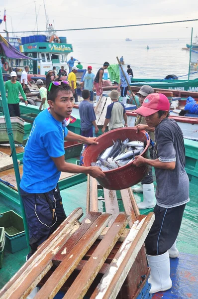 General Santos, Philippines - September 5, 2015: Workers are loading fish at a dock — Stock Photo, Image