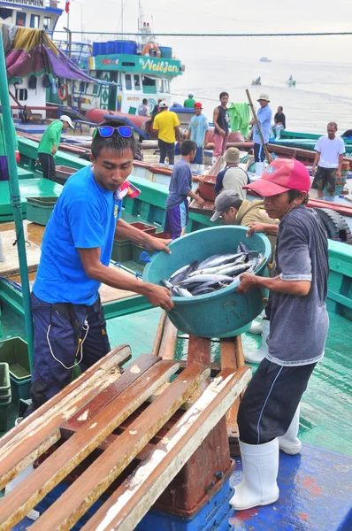 General Santos, Filippinerna - September 5, 2015: Arbetstagare är lastning fisk på en docka — Stockfoto