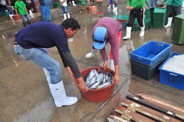 General Santos, Filipinas - 5 de septiembre de 2015: Los pescadores recogen atún en el puerto — Foto de Stock