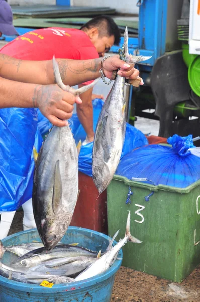 General Santos, Filipinas - 5 de setembro de 2015: Trabalhadores trabalham no mercado de frutos do mar no porto — Fotografia de Stock