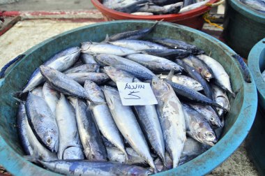 General Santos, Filipinler - 5 Eylül 2015: Fabrikaya aktarmak için liman Tuna indi