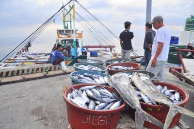 General Santos, Filipinler - 5 Eylül 2015: Balıkçı açılış ton balığı balıkçı teknesi seaport adlı üzerinden