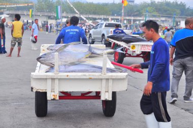 General Santos, Filipinler - 5 Eylül 2015: Balıkçı açılış ton balığı balıkçı teknesi seaport adlı üzerinden