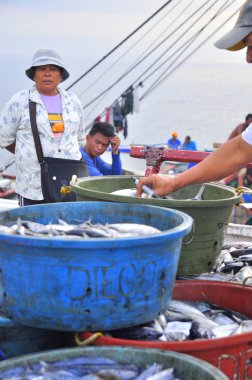 General Santos, Filipinler - 5 Eylül 2015: Balıkçı güveniyor seaport adlı balıkçı teknesindeki tuna