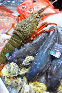 Hong Kong, Çin - 8 Eylül 2015: Lezzetli deniz ürünleri bol güzel deniz ürünleri ticaret fuarında Hong Kong görüntülenir